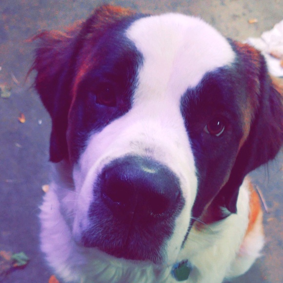 Meet your Posher, Lisa - Picture 1 of 1